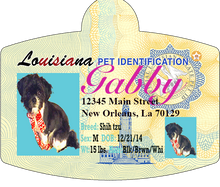 Load image into Gallery viewer, Pet Identification Tag