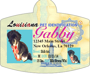 Pet Identification Tag