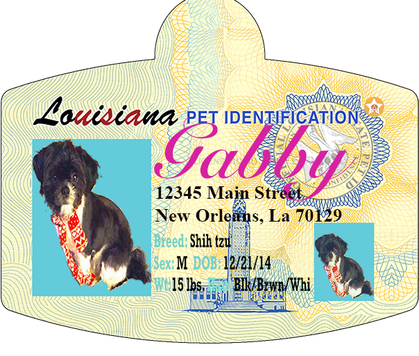 Pet Identification Tag